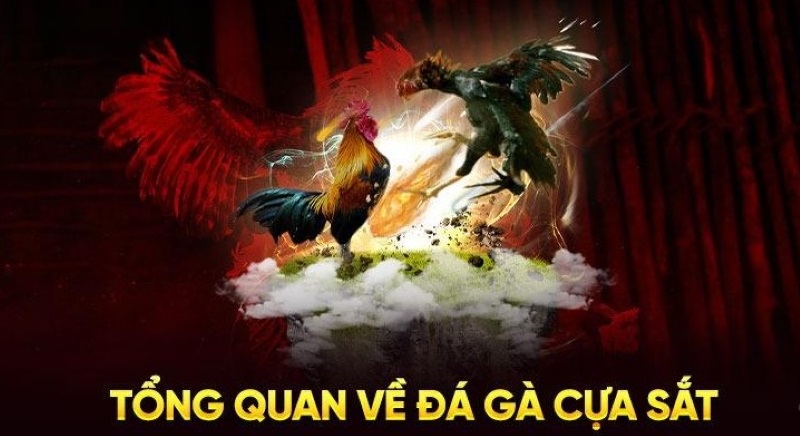 Cựa sắt thường được sư kế gắn vào gia tăng sự hấp dẫn