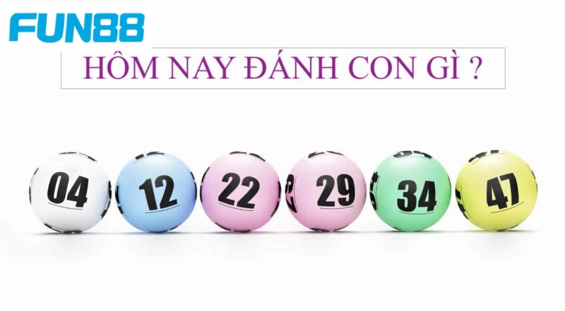 Tổng hợp các cách soi con 3 càng chi tiết, hiệu quả