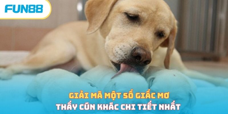 Giải mã một số giấc mơ thấy cún khác chi tiết nhất