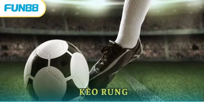 Rung góc - Một trong số loại hình rung phổ biến