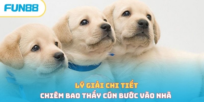 Lý giải chi tiết chiêm bao thấy cún bước vào nhà