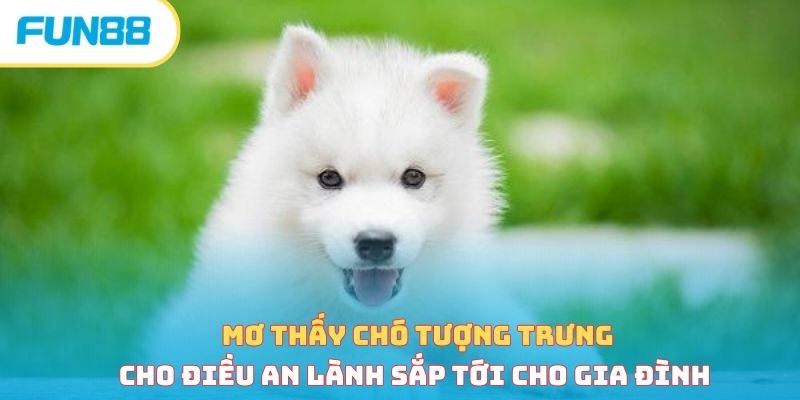 Mơ thấy chó tượng trưng cho điều an lành sắp tới cho gia đình