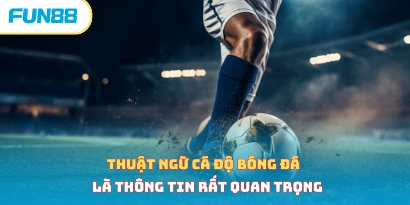 Thuật ngữ cá độ bóng đá là thông tin rất quan trọng
