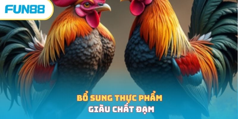 Bổ sung thực phẩm giàu chất đạm