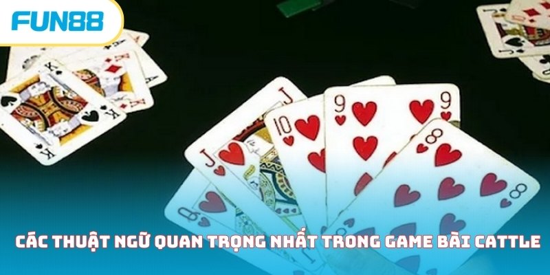 Các thuật ngữ quan trọng nhất trong game bài Cattle