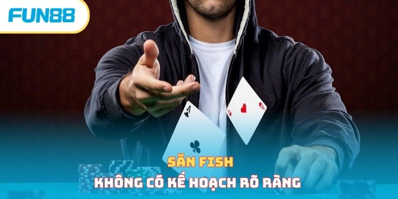 Săn fish không có kế hoạch rõ ràng