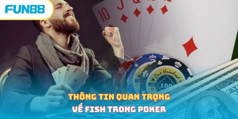 Thông tin quan trọng về fish trong poker