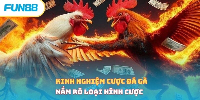 Kinh nghiệm cược đá gà - Nắm rõ loại hình cược