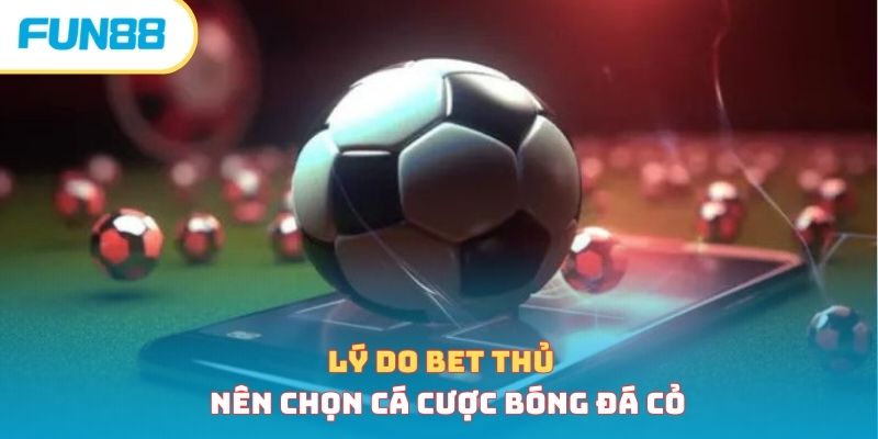 Lý do bet thủ nên chọn cá cược bóng đá cỏ