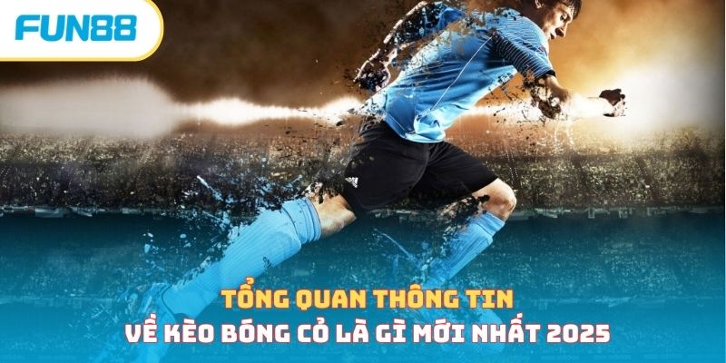 Tổng quan thông tin về kèo bóng cỏ là gì mới nhất 2025