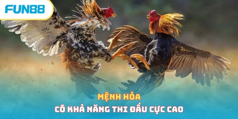 Mệnh Hỏa có khả năng thi đấu cực cao