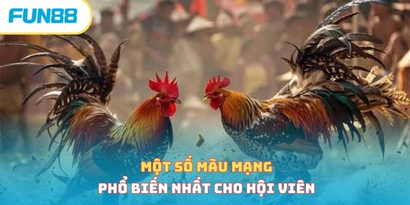 Một số màu mạng phổ biến nhất cho hội viên