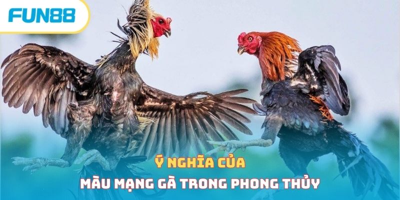Ý nghĩa của màu mạng gà trong phong thủy